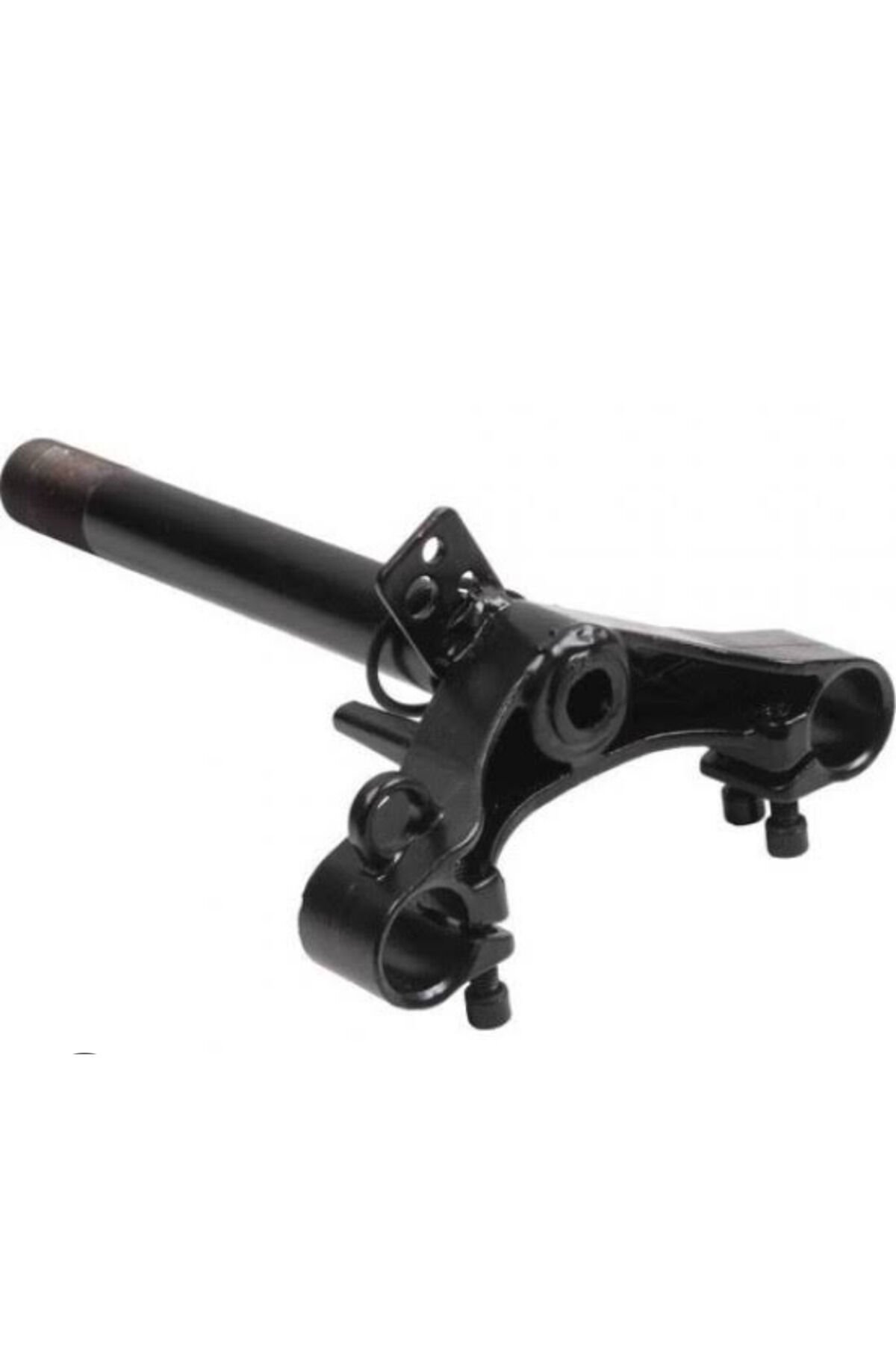 Frida Ön Maşa (PLATİN)