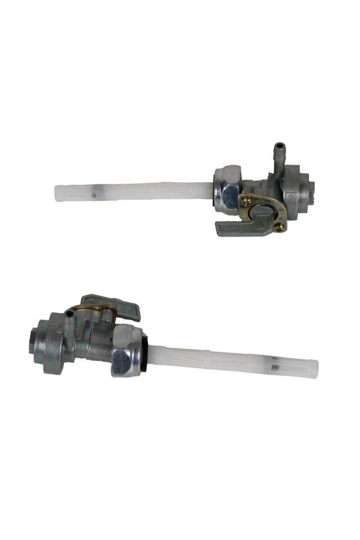 CG MUSLUK KALIN DİŞ